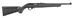 Ruger 10/22? COMPACT - RUG 31114